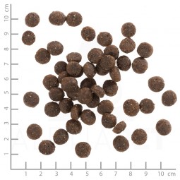 Wb766953wolfsblutrangelambpuppy500g4260262766953dsc0575lineal1 1